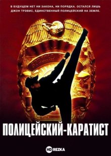 Полицейский-каратист смотреть онлайн бесплатно HD качество