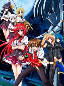 Высшая школа DxD [ТВ-2]